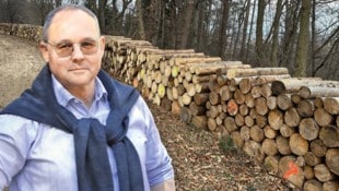 Zugeschnitten und gestapelt: Stadtförster Peter Bedenk erklärt, warum am Grazer Buchkogel Holz „verschenkt“ wird. (Fotomontage) (Bild: Krone KREATIV/zVg, Christian Jauschowetz)