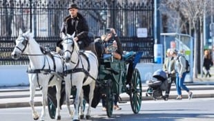 Wien freut sich über das beste Ergebnis seit Beginn der Aufzeichnungen. (Bild: Tomschi Peter)