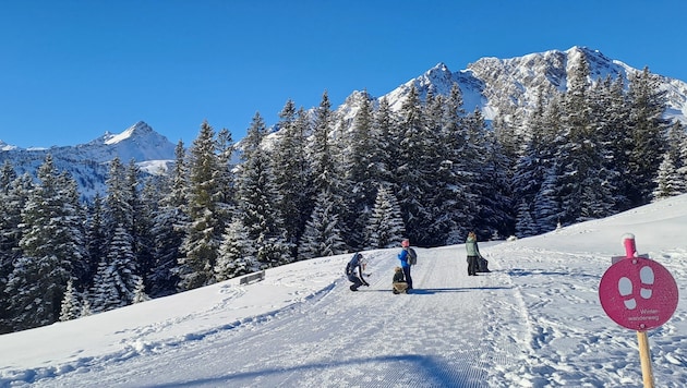 The toboggan safari starts at the Burtschasattel in Brand. (Bild: Bergauer Rubina)