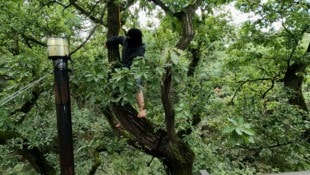 Baumbesetzung im deutschen Hambacher Forst: Filmstill aus „Der Weg ist nie derselbe“ von Oliver Ressler  (Bild: Bildrecht, Wien, 2024)