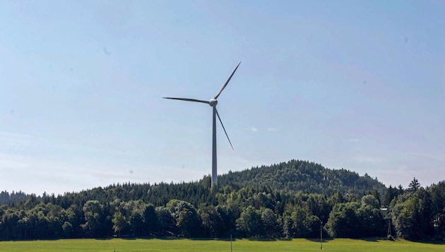 Die Bürgerinitiativen gegen Windkraft arbeiten seit einem halben Jahr in Kärnten offiziell zusammen. (Bild: Scharinger Daniel/Pressefoto Scharinger © Daniel Scharinger)