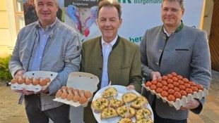 Jährlich wird beim Welteitag, am zweiten Freitag im Oktober, auf die heimischen Eier aufmerksam gemacht. Obmann der Geflügelwirtschaft Burgenland Heinz Schlögl, LK-Präsident Nikolaus Berlakovich und Geschäftsführer der Geflügelwirtschaft Burgenland Wolfgang Pleier heben die Bedeutung regionaler Eier hervor. (Bild: LWK Bgld)