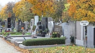 Der tödliche Unfall ereignete sich am Hernalser Friedhof (Archivbild). (Bild: Jöchl Martin/Martin Jöchl)