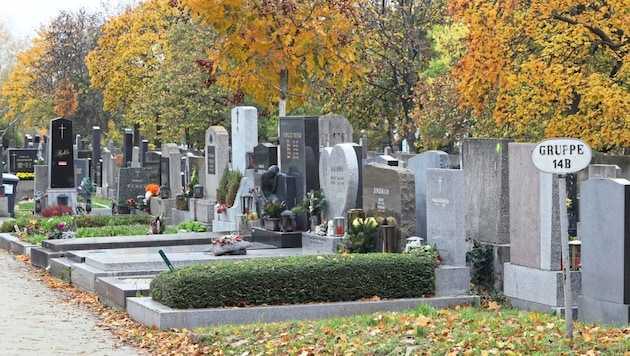 Der tödliche Unfall ereignete sich am Hernalser Friedhof (Archivbild). (Bild: Jöchl Martin/Martin Jöchl)