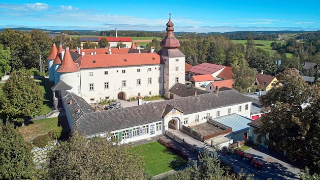 Mayor Lambert Handl now sees problems of trust in the municipal office, which is located in the castle. Head of office Gerhard Burian would construct problems. (Bild: Lichtstark.com/R.Wagenhofer)