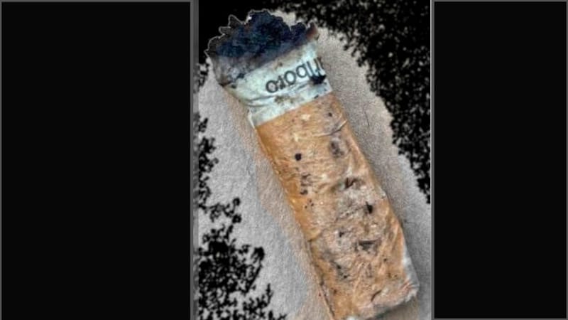 This cigarette is said to provide the perpetrator's DNA. (Bild: Privat, Krone KREATIV)