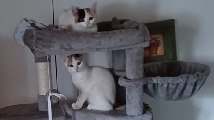 The two lovely sisters.