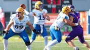 Gleich im ersten Saison-Heimspiel warten auf die Grazer Giants die Vienna Vikings.