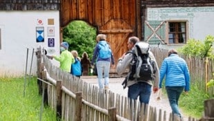 Teilnehmer der klinischen Studie bekommen eine Saisonkarte für das Freilichtmuseum. (Bild: Markus Tschepp)