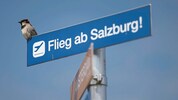 Den teuersten Flug nach Salzburg hat der in Australien lebende Mann gebucht.