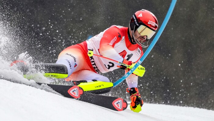 Loic Meillard