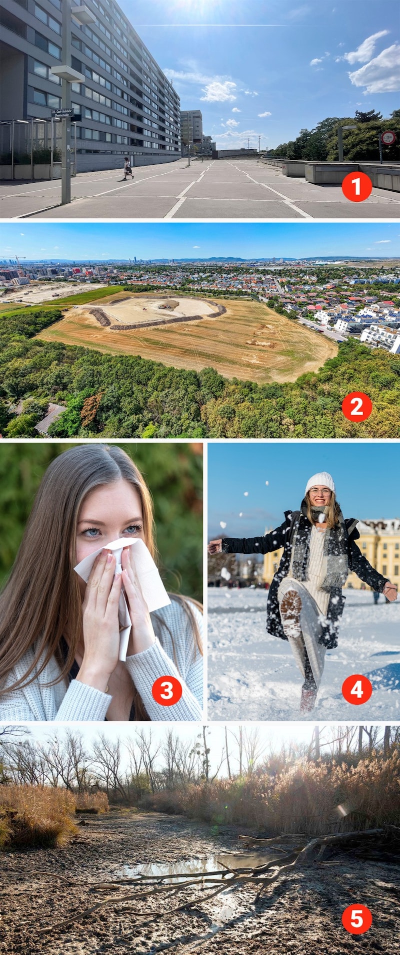 1. sealing: whether on the Donauplatte (picture), in the Seestadt or elsewhere, there is a lack of trees and shade. 2. the biodiversity park is one of many projects to green up the city. 3. particulate matter: The air quality has improved over the years and is very good except for a few days with particulate matter. 4. rarity: The number of days on which it snows in Vienna has decreased significantly. 5. drought: The many long periods of drought are not only a problem for the Lobau. (Bild: Krone KREATIV/Grüne Wien/Heidi Sequenz, Stadt Wien/Christian Fürthner, Brenek Malena (2), Kracher Kreativ)