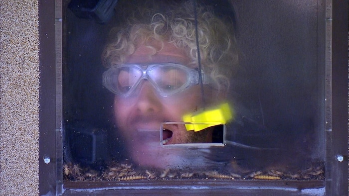 Die Krabbeltierchen sorgten bei Sam Dylan für Panik. Der Reality-Star brach erneut die ...