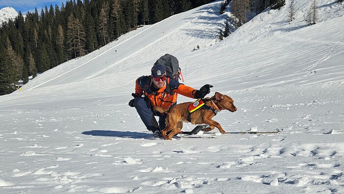 Training is essential: humans and animals practise in equal measure.