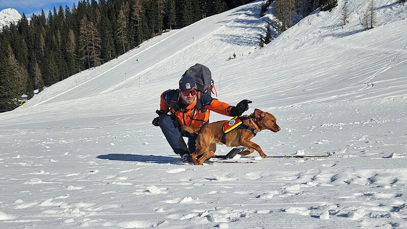 Training is essential: humans and animals practise in equal measure. (Bild: Diverse Fotografen honorarfrei/Bergrettung Salzburg)