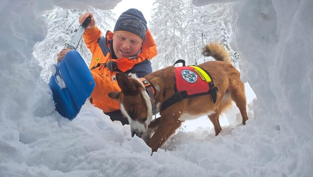 Markus Stemberger and Amy practising searching for buried victims. (Bild: Diverse Fotografen honorarfrei/Bergrettung Salzburg)