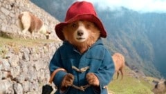 „Paddington in Peru“ startet am Donnerstag in den österreichischen Kinos. (Bild: 2024 Studiocanal SAS)