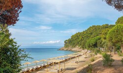 2024 war Skiathos zum ersten Mal ab Linz im Programm, Springer Reisen bietet die Destination in ...