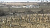 Im Herbst wollten die Grünen wegen der Klinik Gols den Verfassungs- gerichtshof (VfGH) anrufen. ...