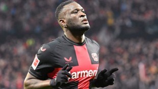 Victor Boniface ist bei Al-Nassr heiß begehrt. (Bild: GEPA)