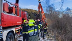 Mit einem Kran konnte „Jaki“ befreit werden. (Bild: Feuerwehr Knittelfeld)