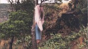 Die Leiche wurde 1990 an einem Baum hängend gefunden.