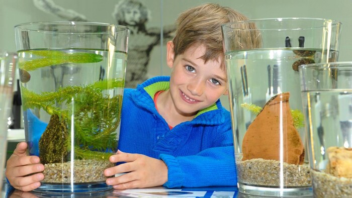 Am Sonntag können Kinder tief ins Hochmoor eintauchen