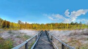 Das mystische Hochmoor erstreckt sich über eine Fläche von 300 Hektar – die Fläche wird laufend ...