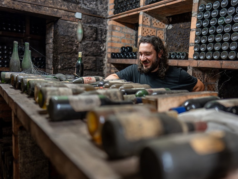 Former owner Markus Faulhammer in the historic wine cellar. The film adaptation of Thomas Stipsits' hit thriller "Uhudler-Verschwörung" was shot here. (Bild: AURENA)