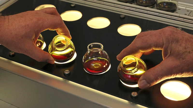 A special testing device is used to closely examine the typical two-tone color of the seed oil. (Bild: Jauschowetz Christian)