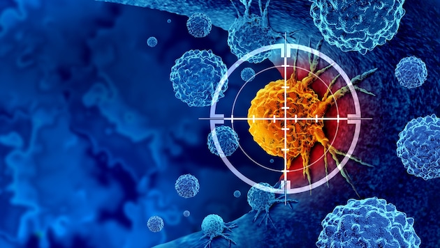 The tumor is the focus of the body's own immune system. (Bild: stock.adobe.com/freshidea - stock.adobe.com)