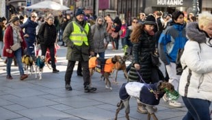 Rund um den „Welt-Galgo-Tag“ am 1. Februar gehen zahlreiche Menschen mit oder ohne Hund auf die Straße, um für die Rechte der Galgos, Podencos und der anderen Jagdhunde zu demonstrieren. (Bild: Martin Grill)