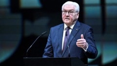 Deutschlands Bundespräsident Frank-Walter Steinmeier (Bild: AFP)