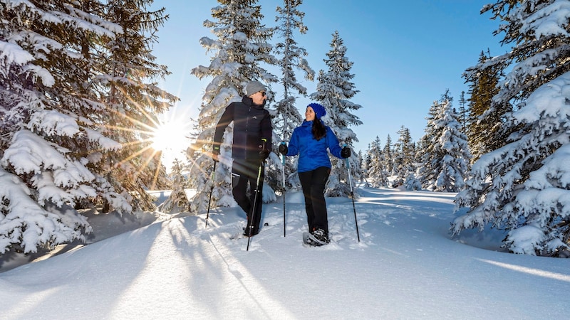 (Bild: Christian Fischbacher/ Filzmoos Tourismus)