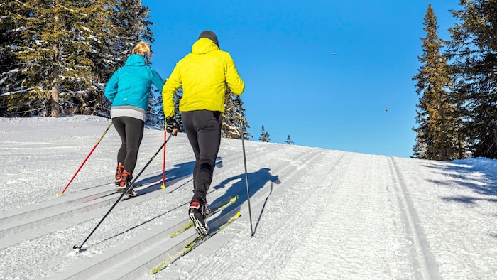 42 Kilometer auf bestens gespurten Langlauf- und Skating-Loipen
