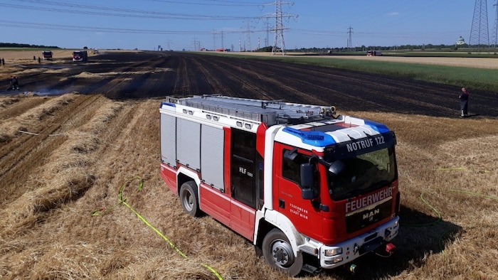 Flurbrände durch sommerliche Trockenheit betreffen auch die Bundeshauptstadt in steigendem Maß.
