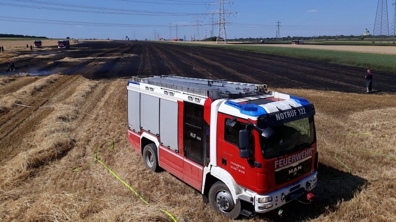 Wildfires caused by summer drought are also affecting the German capital to an increasing extent. (Bild: Feuerwehr Wien)