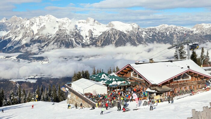 Die Schafalm in Schladming