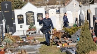 Die Polizei durchkämmte am Donnerstag den Leonhardfriedhof nach Hinweisen (Bild: Jauschowetz Christian)