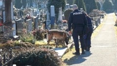 Am Grazer Leonhardfriedhof spielten sich die dramatischen Szenen ab. (Bild: Jauschowetz Christian)