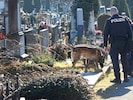 Im Jänner des Vorjahres wurde eine 73-Jährige am St.-Leonhard-Friedhof in Graz von einem bislang ...