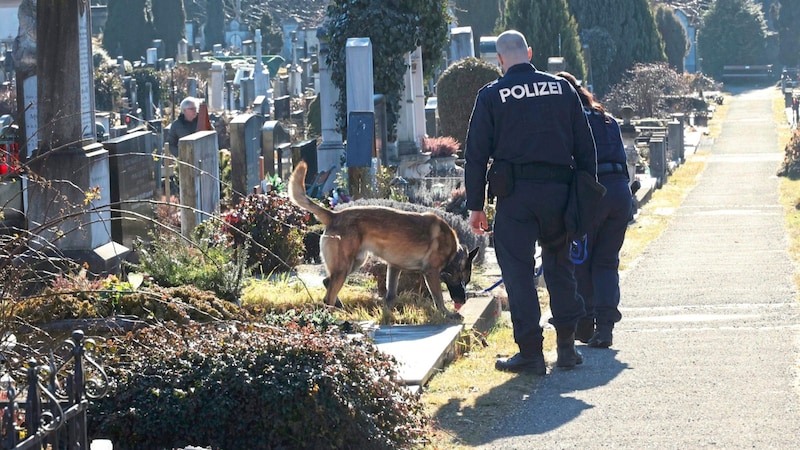 Spurensuche Donnerstagfrüh am Grazer Leonhardfriedhof. (Bild: Jauschowetz Christian)