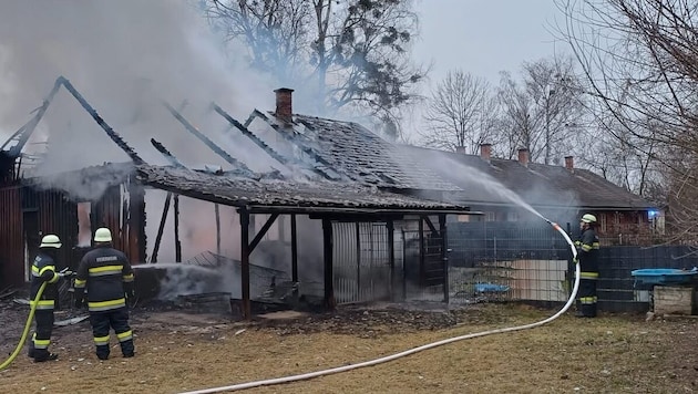 In den Flammen verloren neun Hunde ihr Leben. (Bild: FF Maria Rojach)