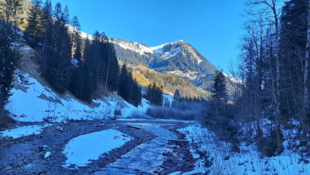 Die noch sehr naturnahe Lutz durchfließt das gesamte Große Walsertal. (Bild: Bergauer Rubina)