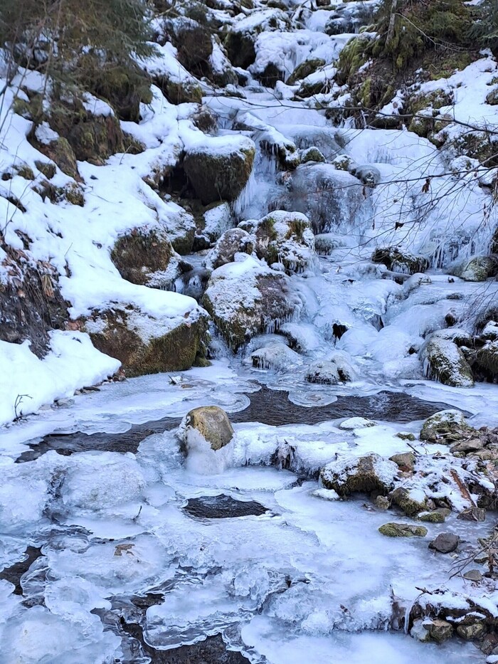 Die kleineren Zuflüsse zur Lutz sind der derzeit vereist.