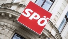 Die Wiener SPÖ hat nach der Debatte um Kleingärten ein Compliance-System erarbeitet.  (Bild: APA/GEORG HOCHMUTH)