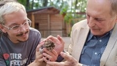 Inspiriert durch einen Besuch vor Ort, schuf Attersee das Kunstwerk als Symbol für die Schönheit und den Wert aller Lebewesen. (Bild: ÖTV)