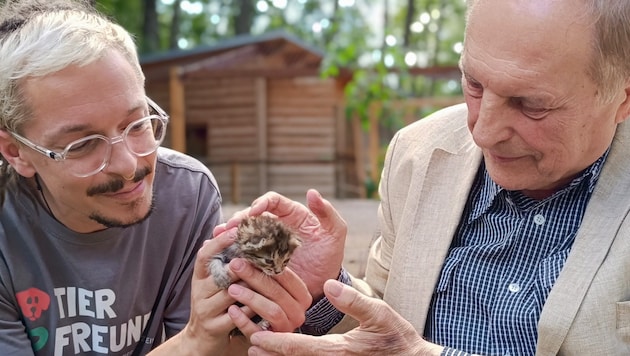 Inspiriert durch einen Besuch vor Ort, schuf Attersee das Kunstwerk als Symbol für die Schönheit und den Wert aller Lebewesen. (Bild: ÖTV)