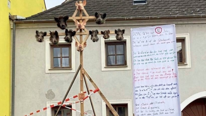 Schweineköpfe vor dem Haus
