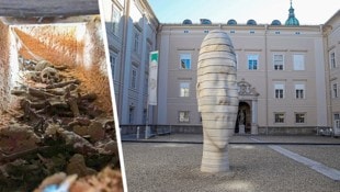 Neuer Uni-Konflikt rund um Tempelritter-Forschung – auch dieses mögliche Grab untersuchte die Salzburger Gruppe in Verona. (Bild: Krone KREATIV/Andreas Tröster, Universität Salzburg)